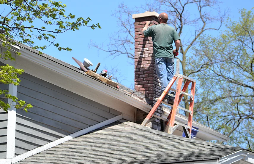 Chimney & Fireplace Inspections Services in Great Falls, VA